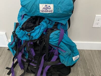 Gregory Backpackin BackPack