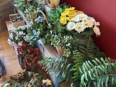 ESTATE SALE Friday June 12-Saturday June 13 8-4pm Payson/Elk Ridge