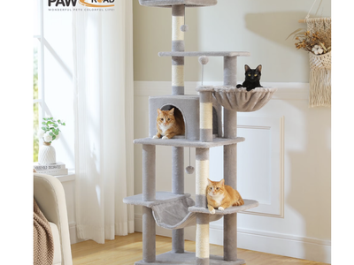Brand new,64" Cat Tree Condo Multi-Level Tower with 5 Scratching Posts for Indoor Medium Cats,