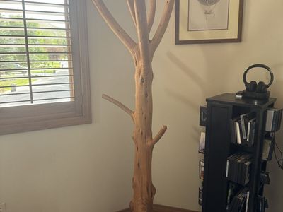 Real tree clothes tree