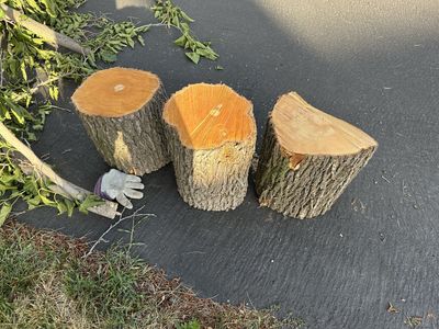 Free Firewood