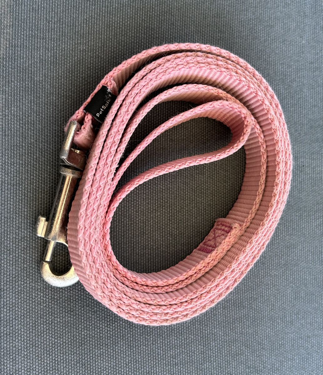 Dog Leash
