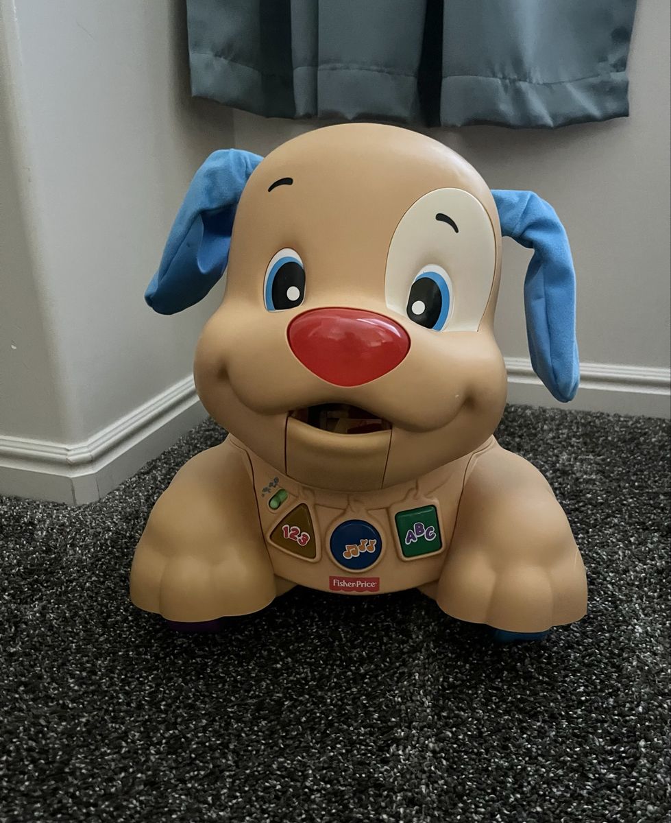 Dog walker and stride toy