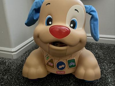 Dog walker and stride toy