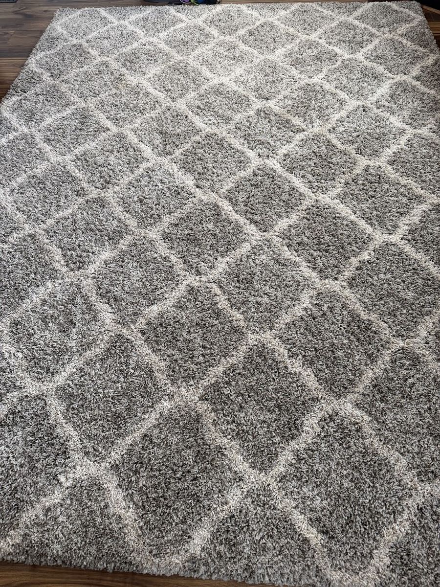 Shag rug 10X13