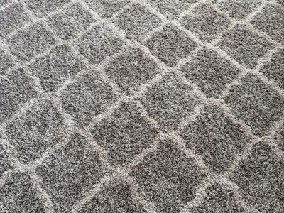 Shag rug 10X13