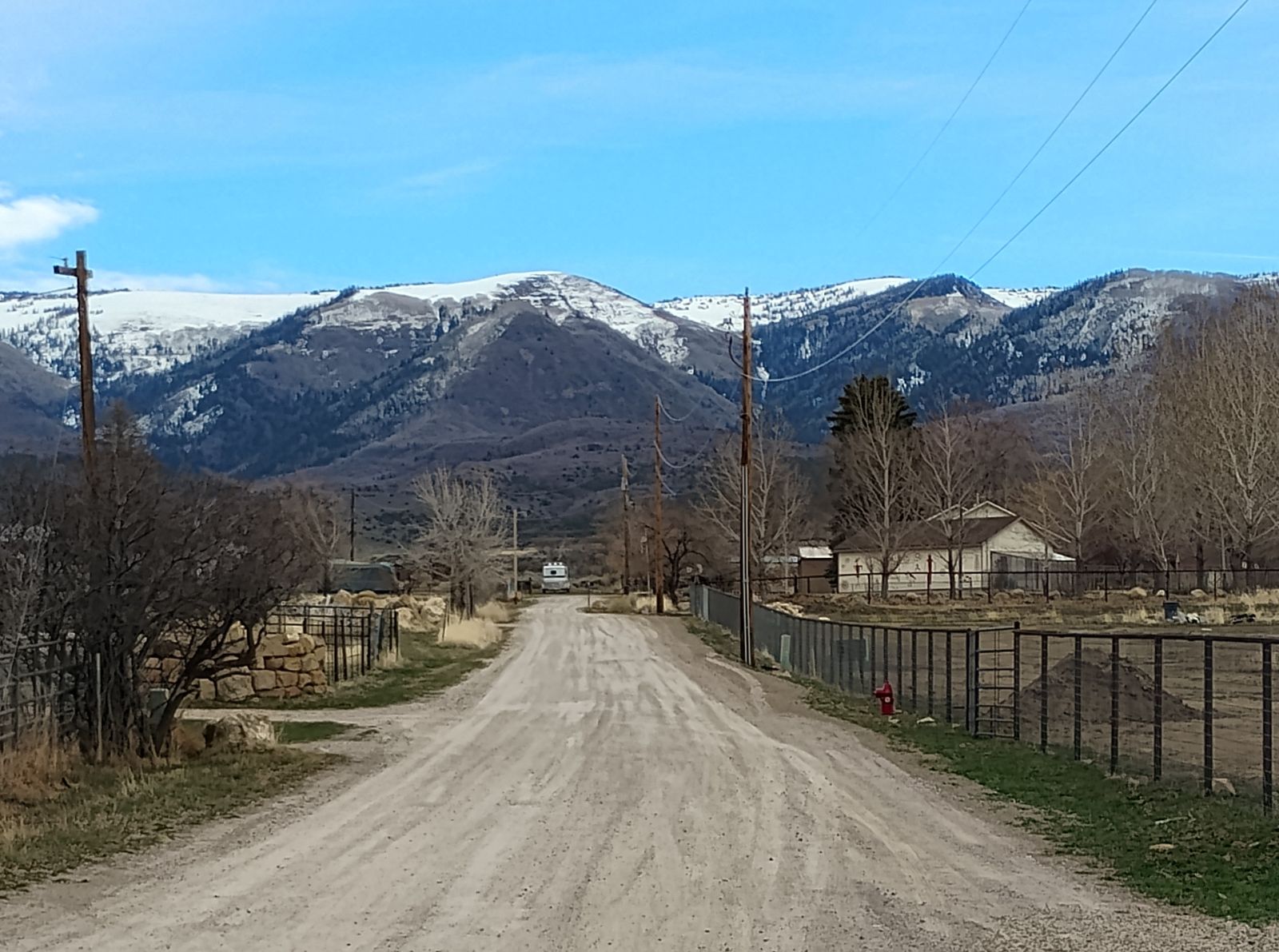 Three Unique Ready-to-Build Creek Frontage LOTS in Mount Pleasant FOR SALE