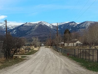 Three Unique Ready-to-Build Creek Frontage LOTS in Mount Pleasant FOR SALE