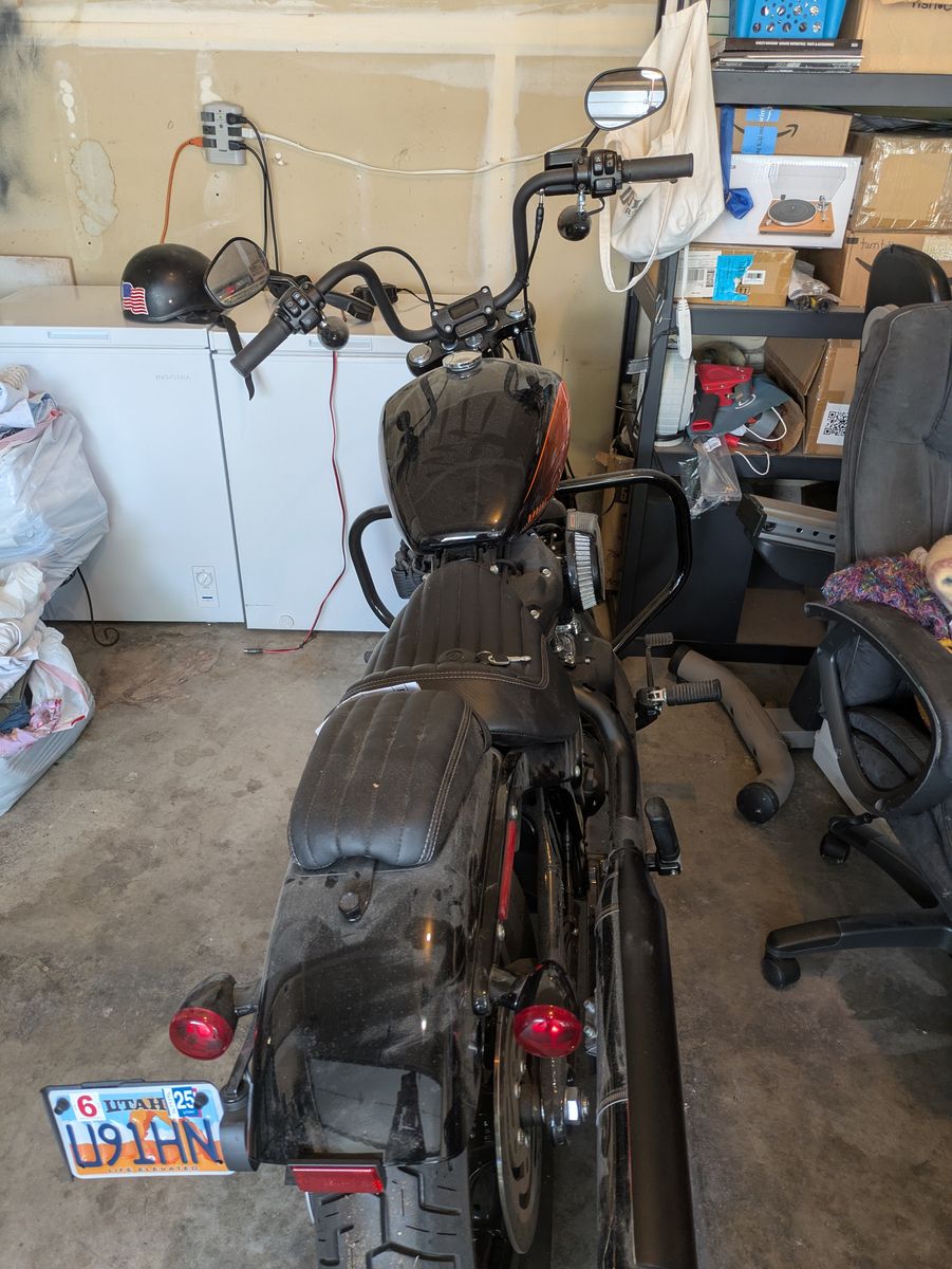 2023 Harley Davidson Street Bob 114