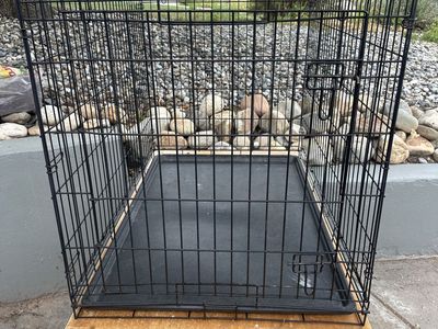 Metal Wire Dog Large Crate Kennel cage with Removable Plastic Tray 28in wide x 42in long x 31in Tall