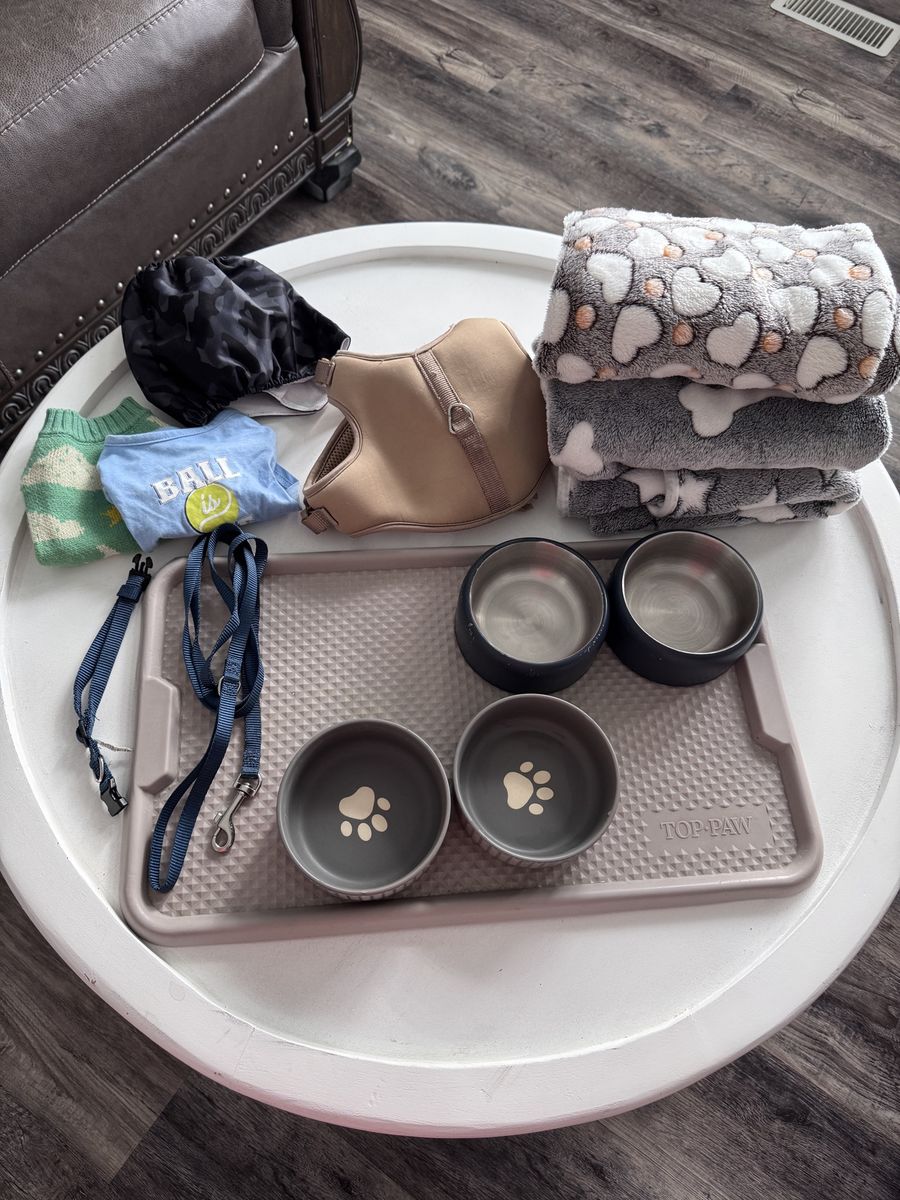 Dog Supplies Bundle - Top Paw Tray, Bowls, Blankets, Harness, Leash, Collar & Clothes