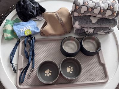 Dog Supplies Bundle - Top Paw Tray, Bowls, Blankets, Harness, Leash, Collar & Clothes