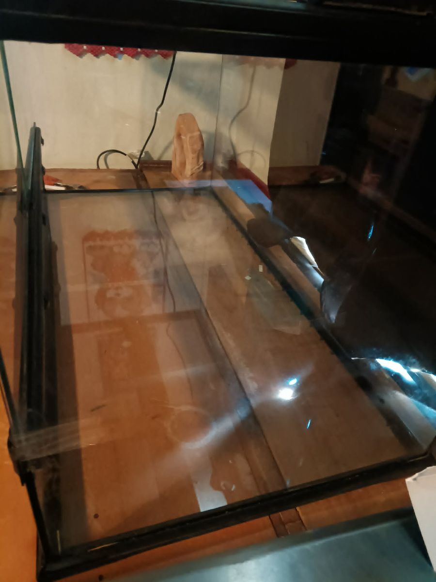 Main image 4