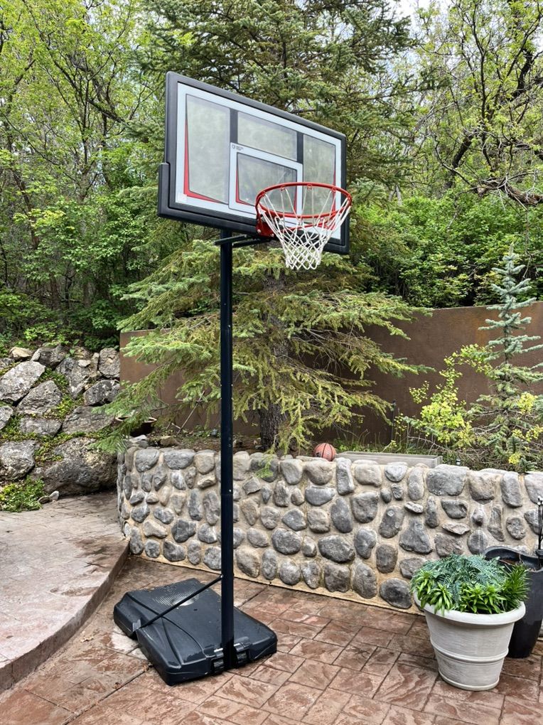 Basketball Hoop and stand