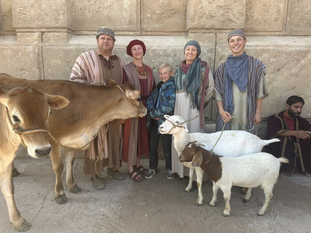 Boer doe Percentage Registered