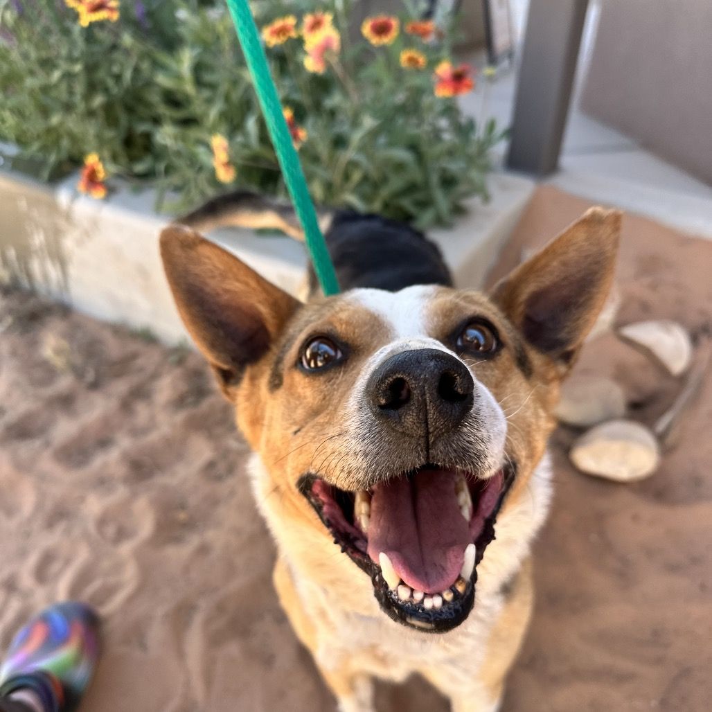 Hello my name is Kenai