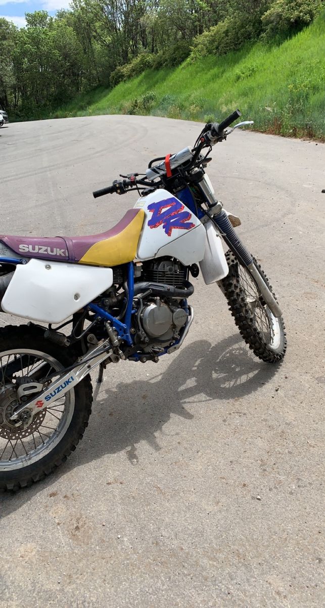 1993 Suzuki DR350