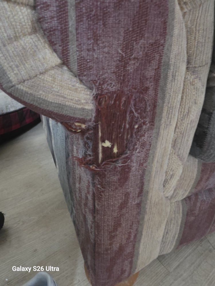 Main image 2