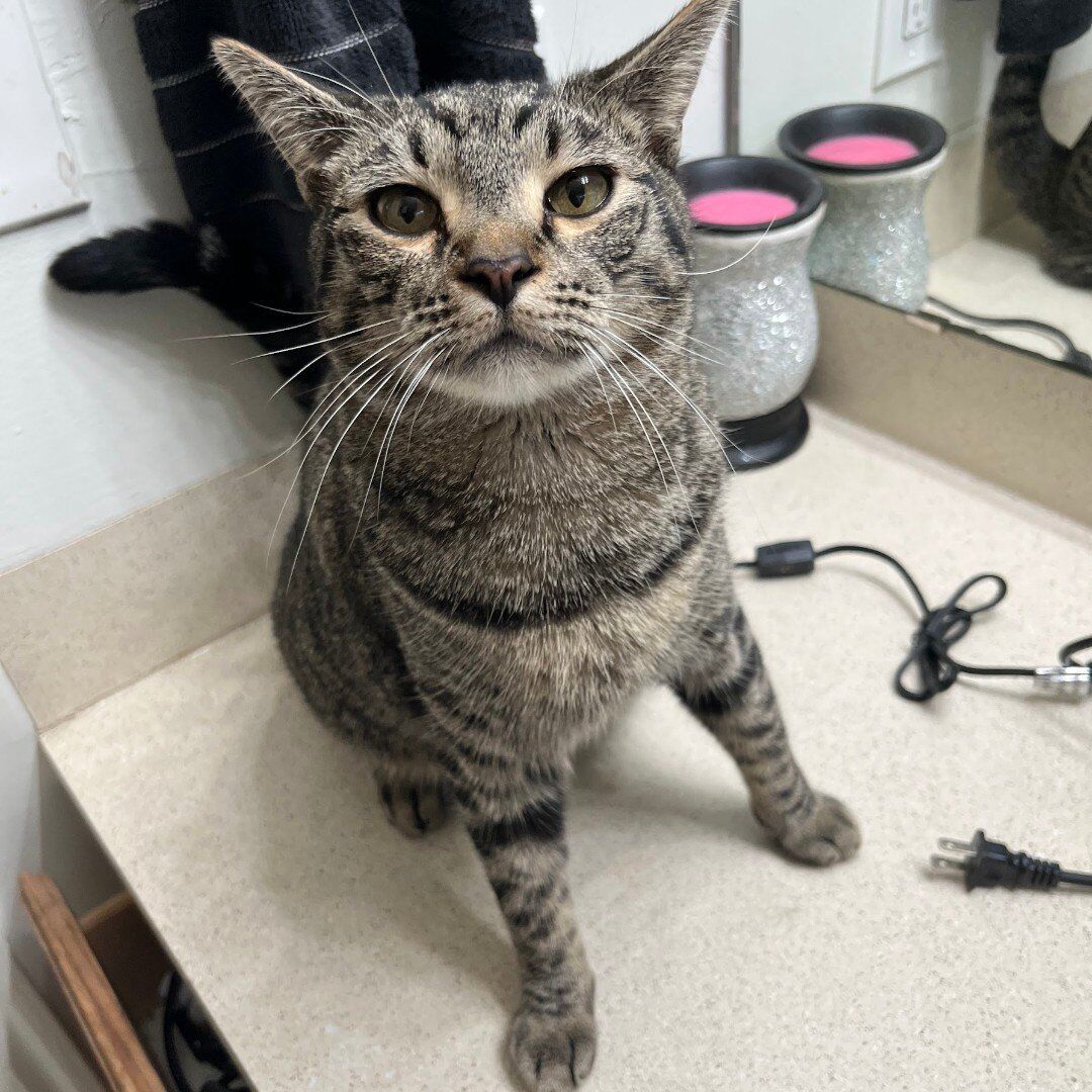 nyx is missing $100 reward