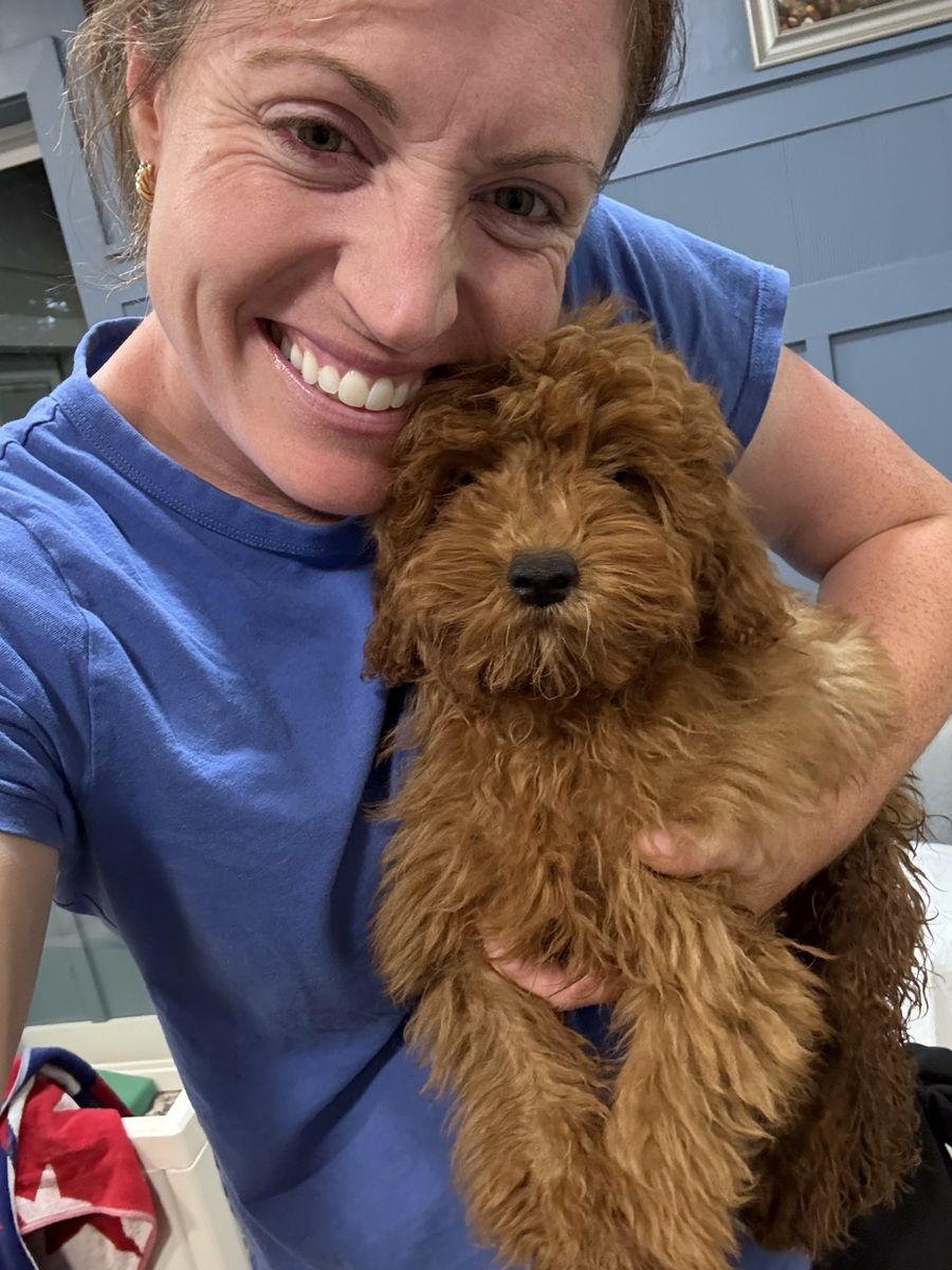 4 month old Goldendoodle- Crate trained!