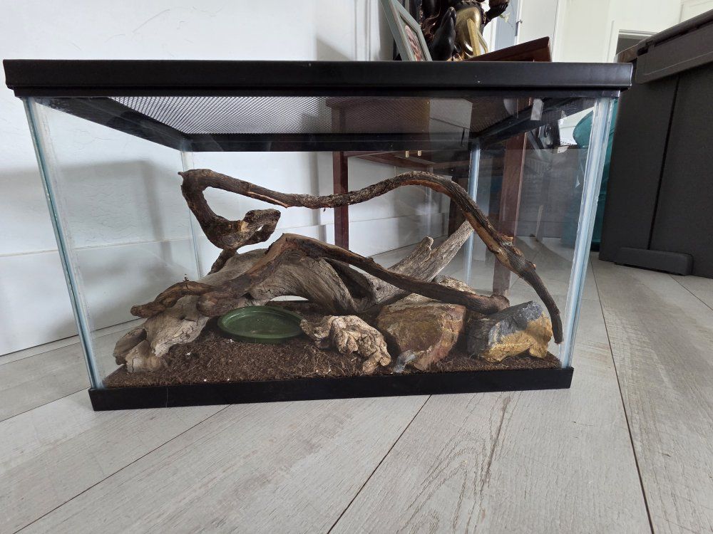 Fish Tank