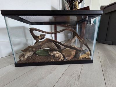 Fish Tank