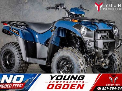 2025 Kawasaki Brute Force® 300