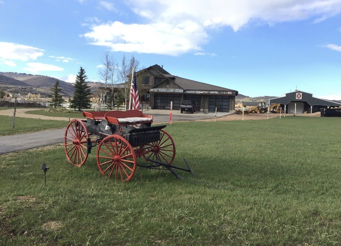 Antique Buggy