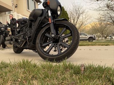 Indian Scout Rouge w ABS