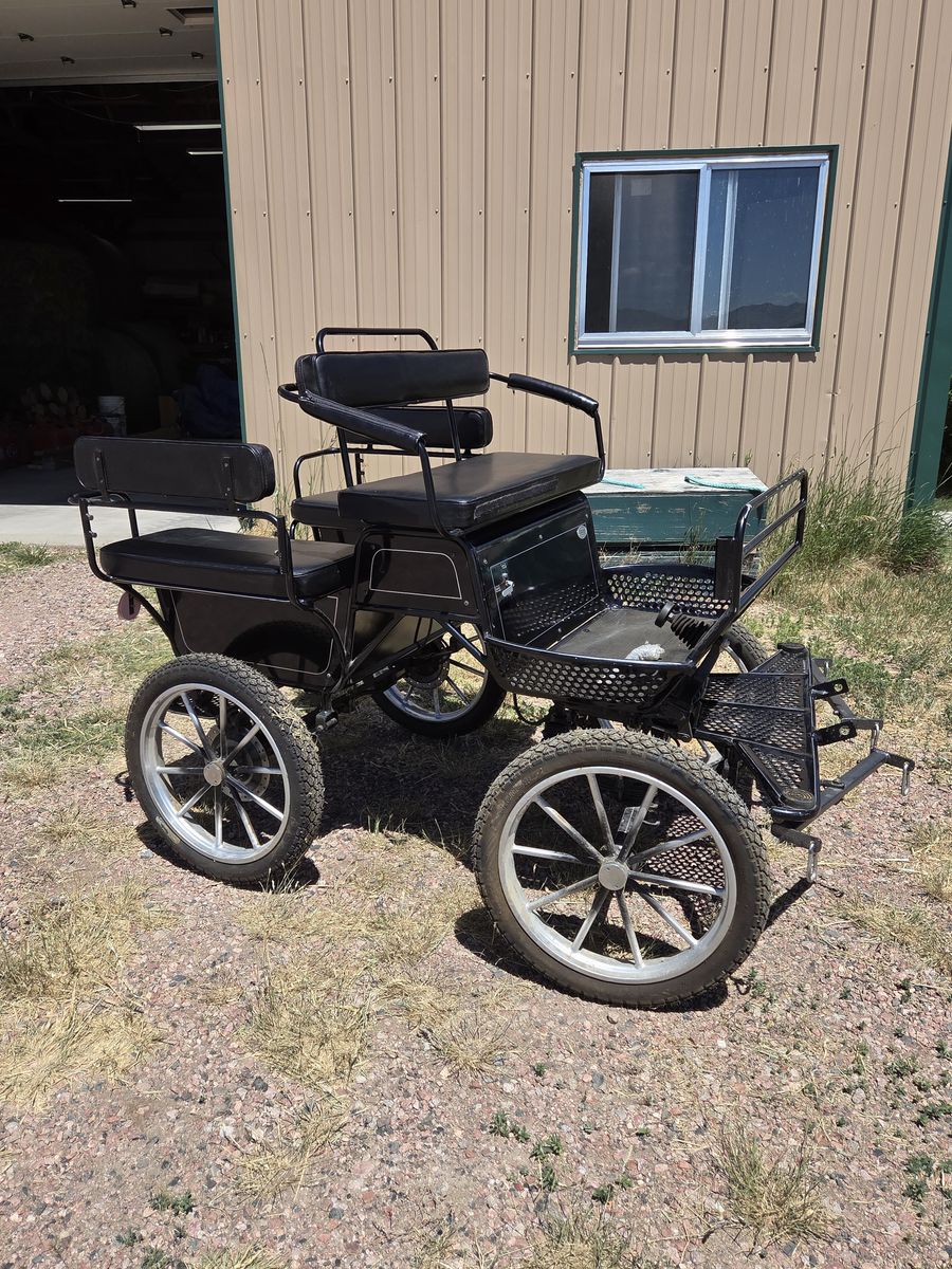 Heavy duty mini horse/pony cart & new biothane team harness!