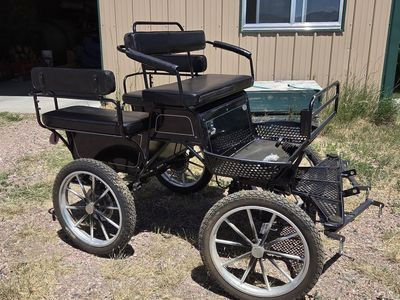 Heavy duty mini horse/pony cart & new biothane team harness!