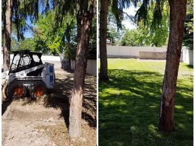 Quality Sprinkler System | Sprinkler Installation | Landscaping Work | Sod Installation | Concrete