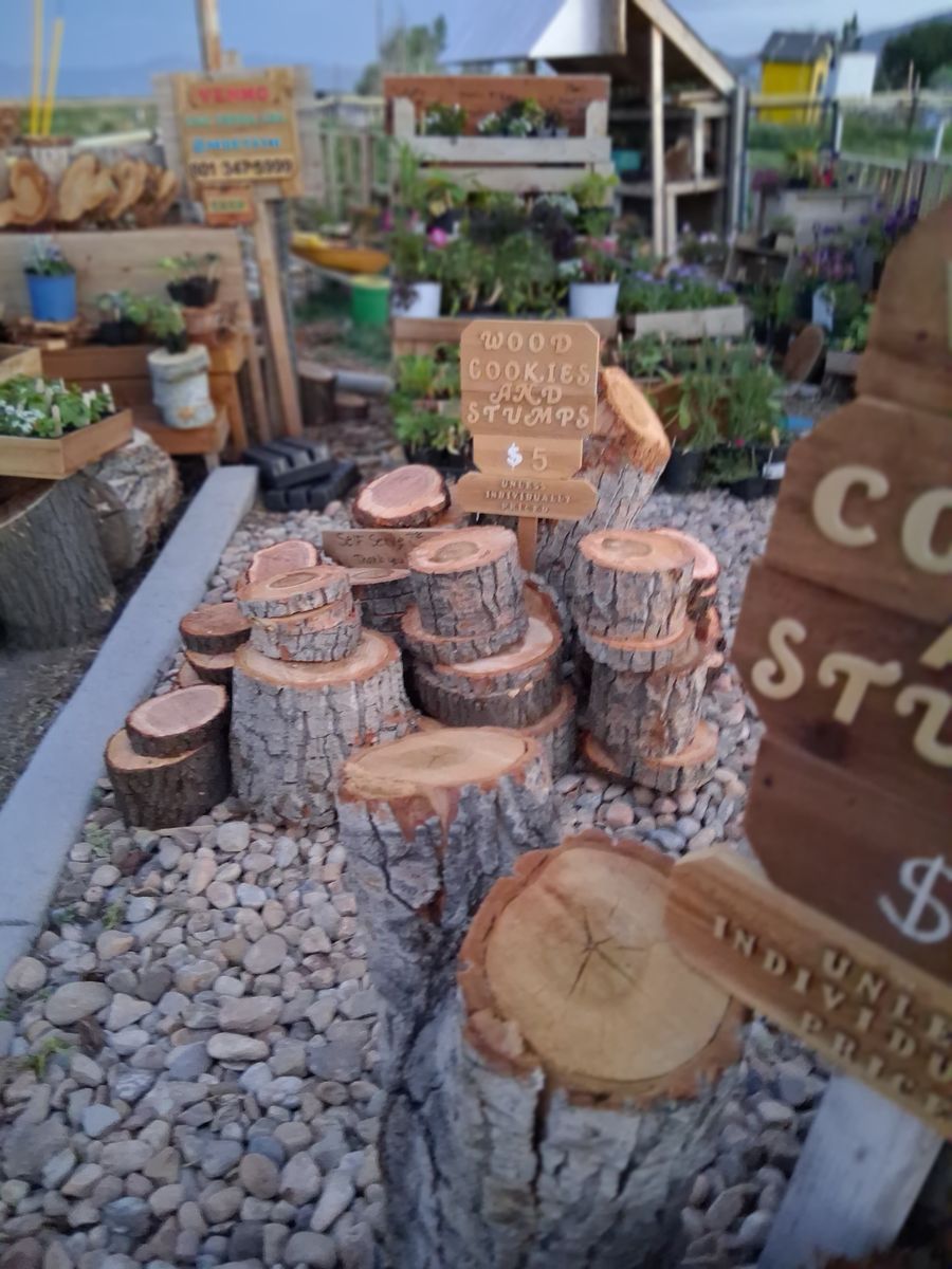 Wood cookies stumps logs firewood