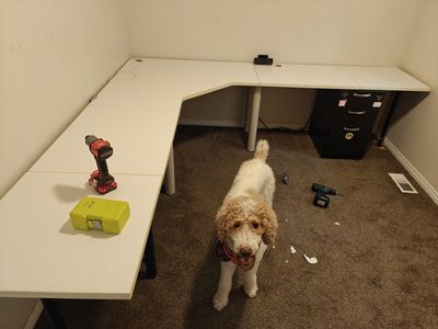 Large White Corner Desk with Adjustable Legs - Ideal for Home Office or Gaming Setup