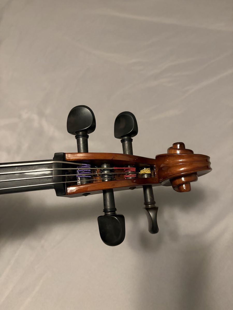 Main image 6