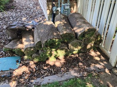 Left over sod from Bulldog Sod.