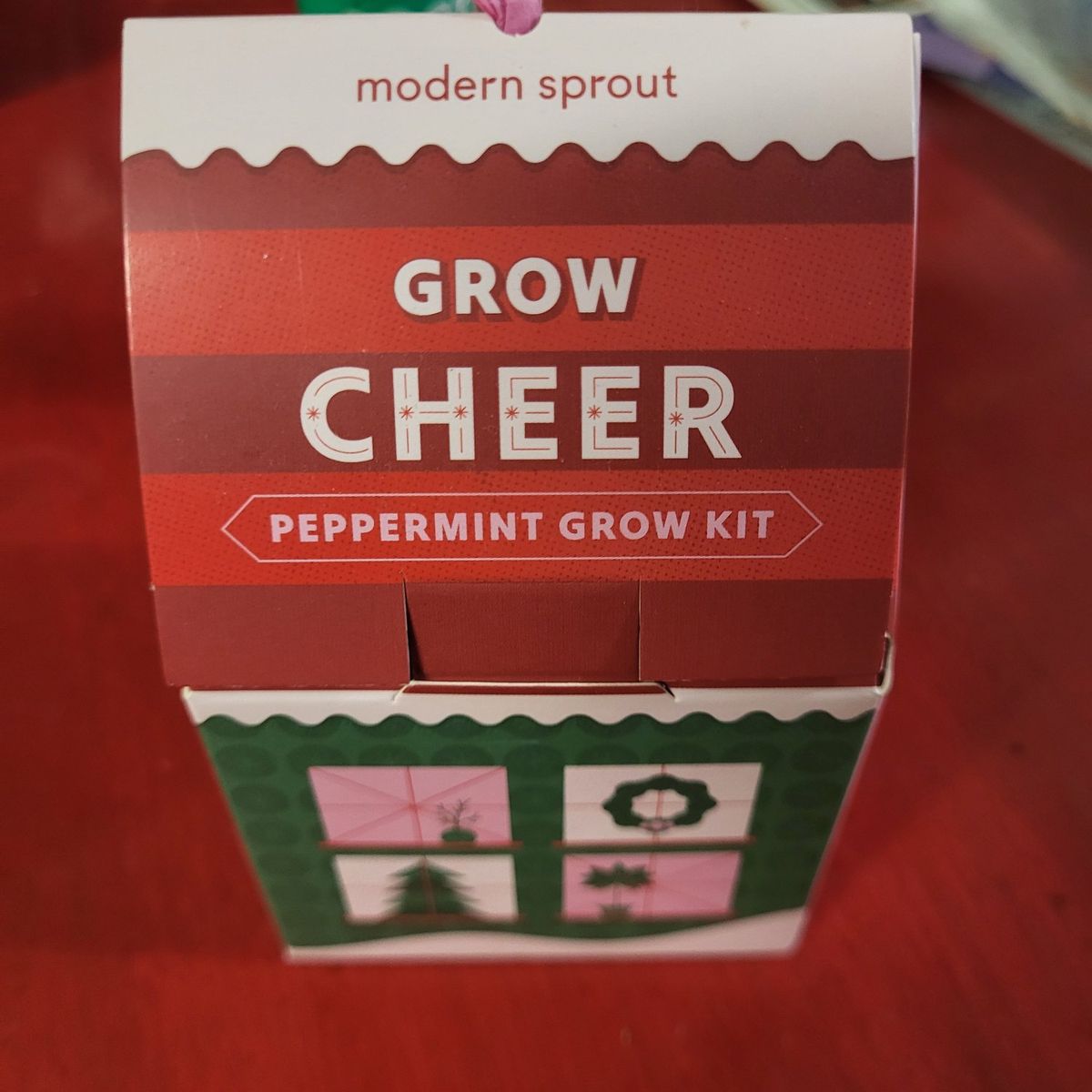 Peppermint grow kit
