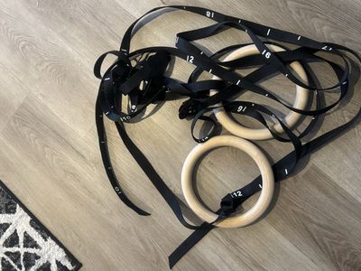 Gymnastic rings with adjustable straps