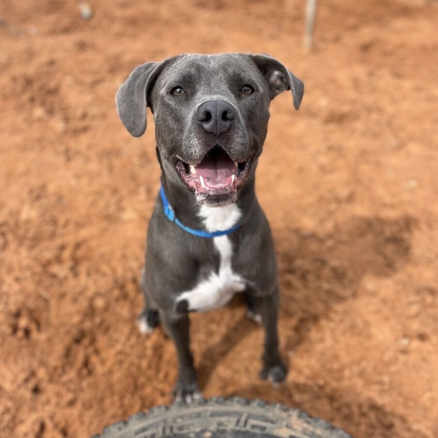 Hello my name is Grai