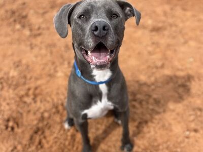 Hello my name is Grai