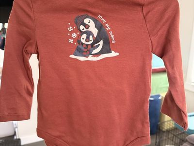 Boys 18 month clothes - new