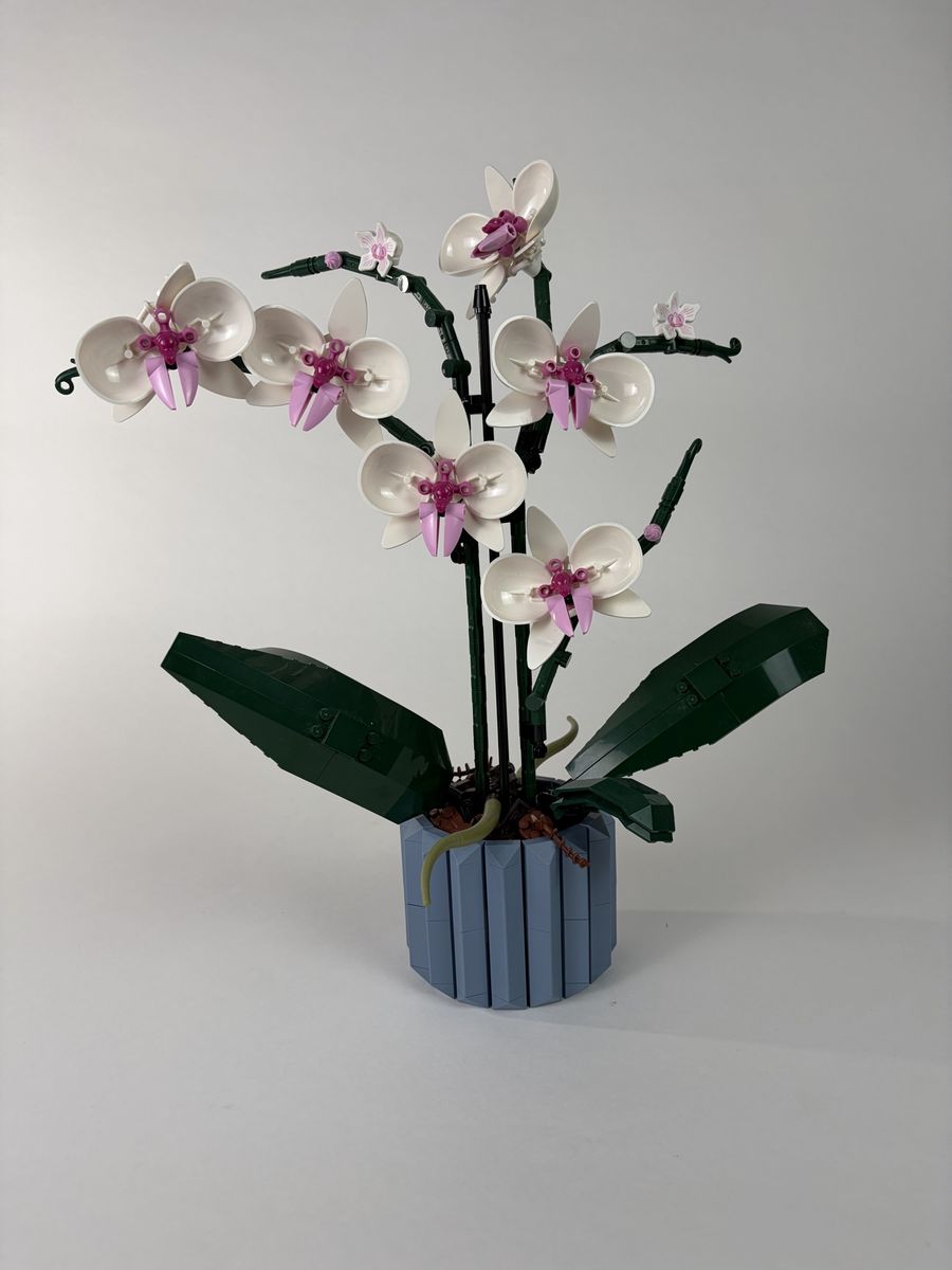 LEGO Icons Orchid (10311)