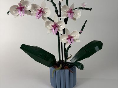 LEGO Icons Orchid (10311)