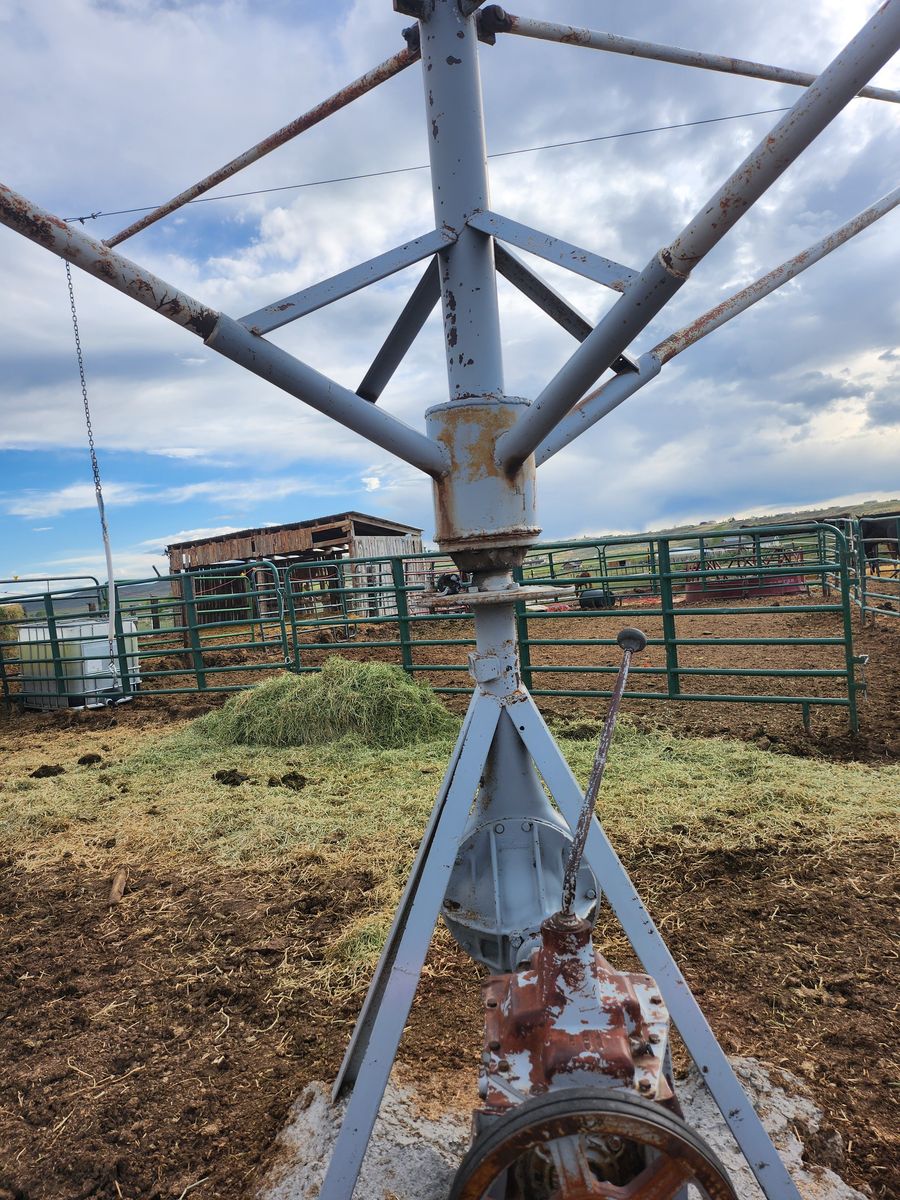 Horse walker for sale