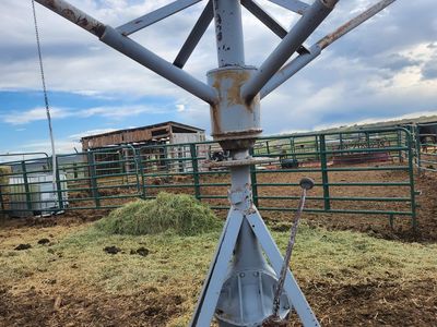 Horse walker for sale