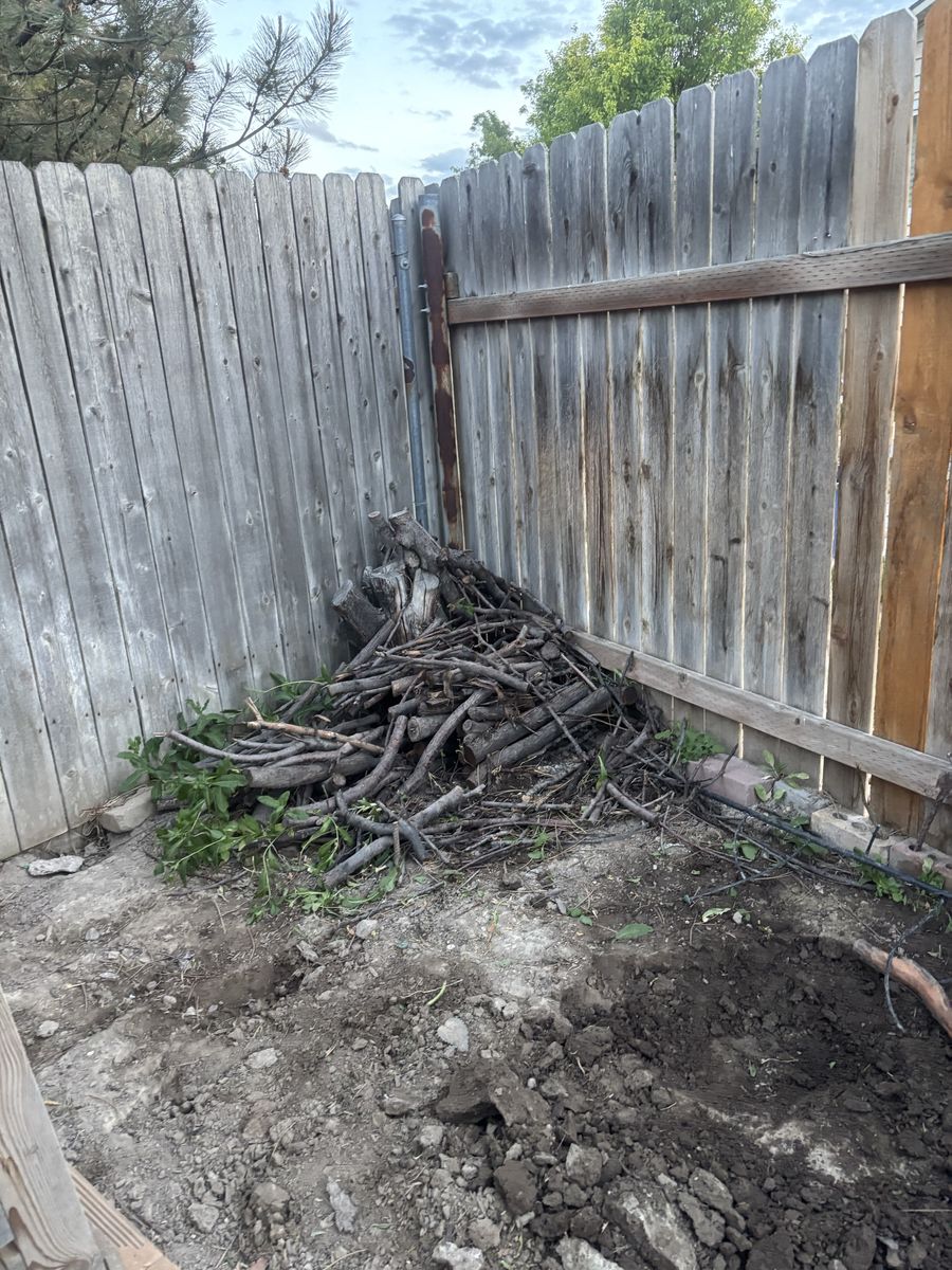 Free wood