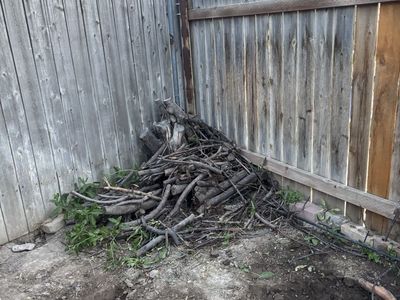 Free wood