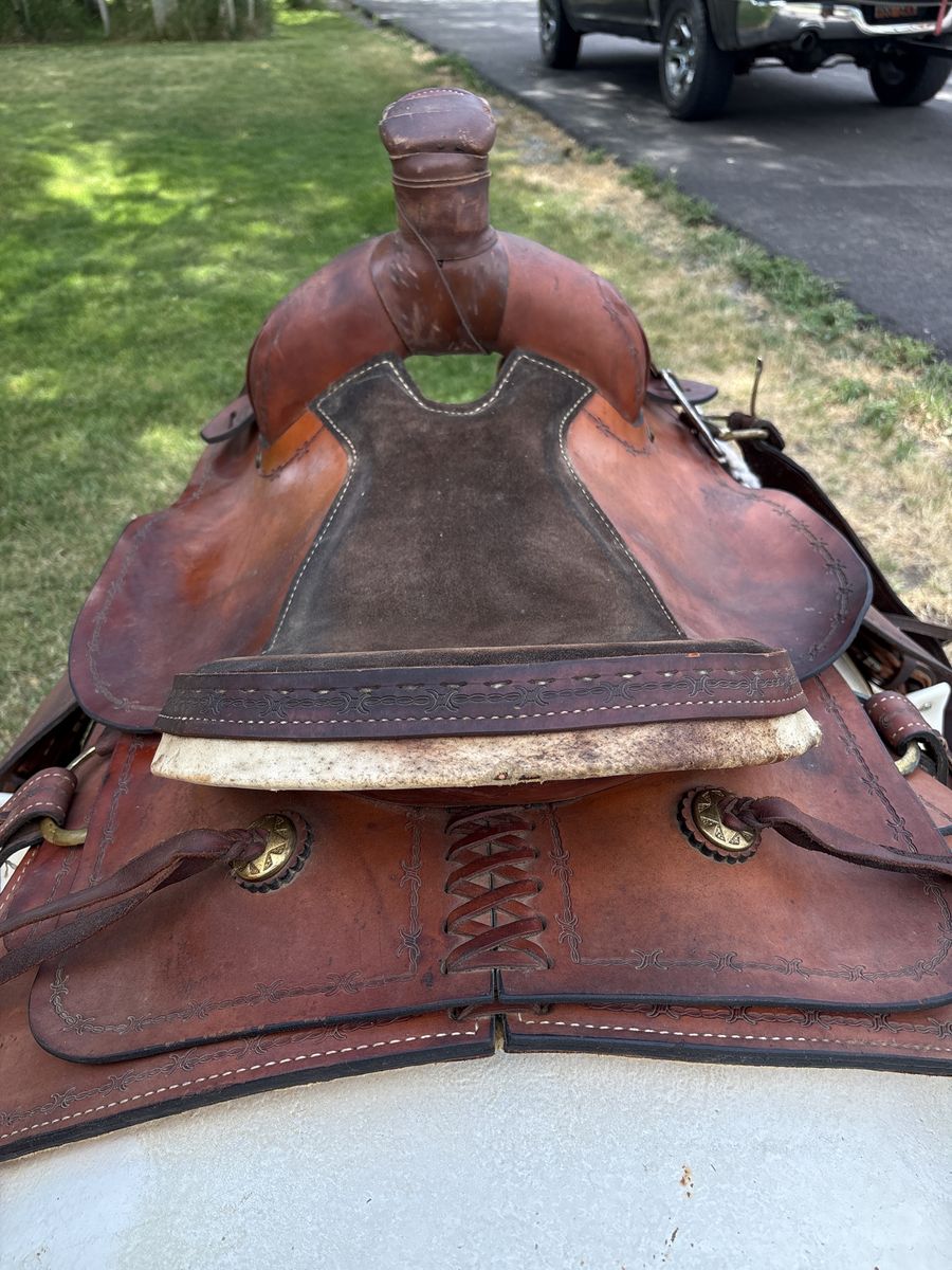 Main image 5