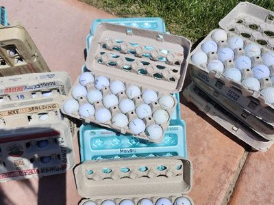 Great Condition Used Golf Balls, Huge Variety of Brands, Pick Your Own!