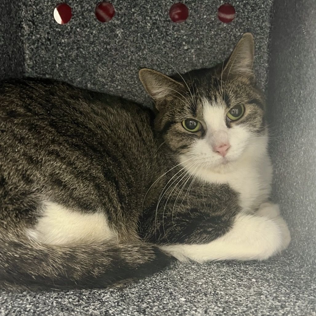 Hello my name is Mary Lou